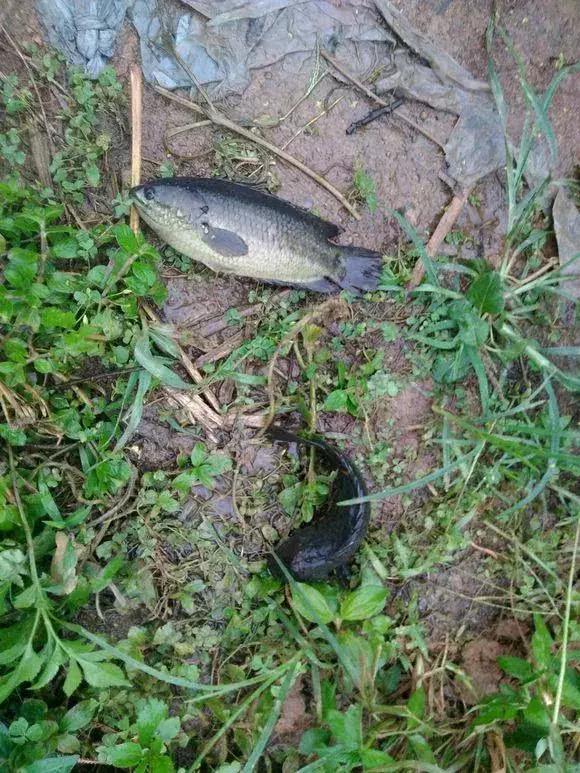 江西 探秘江西之美