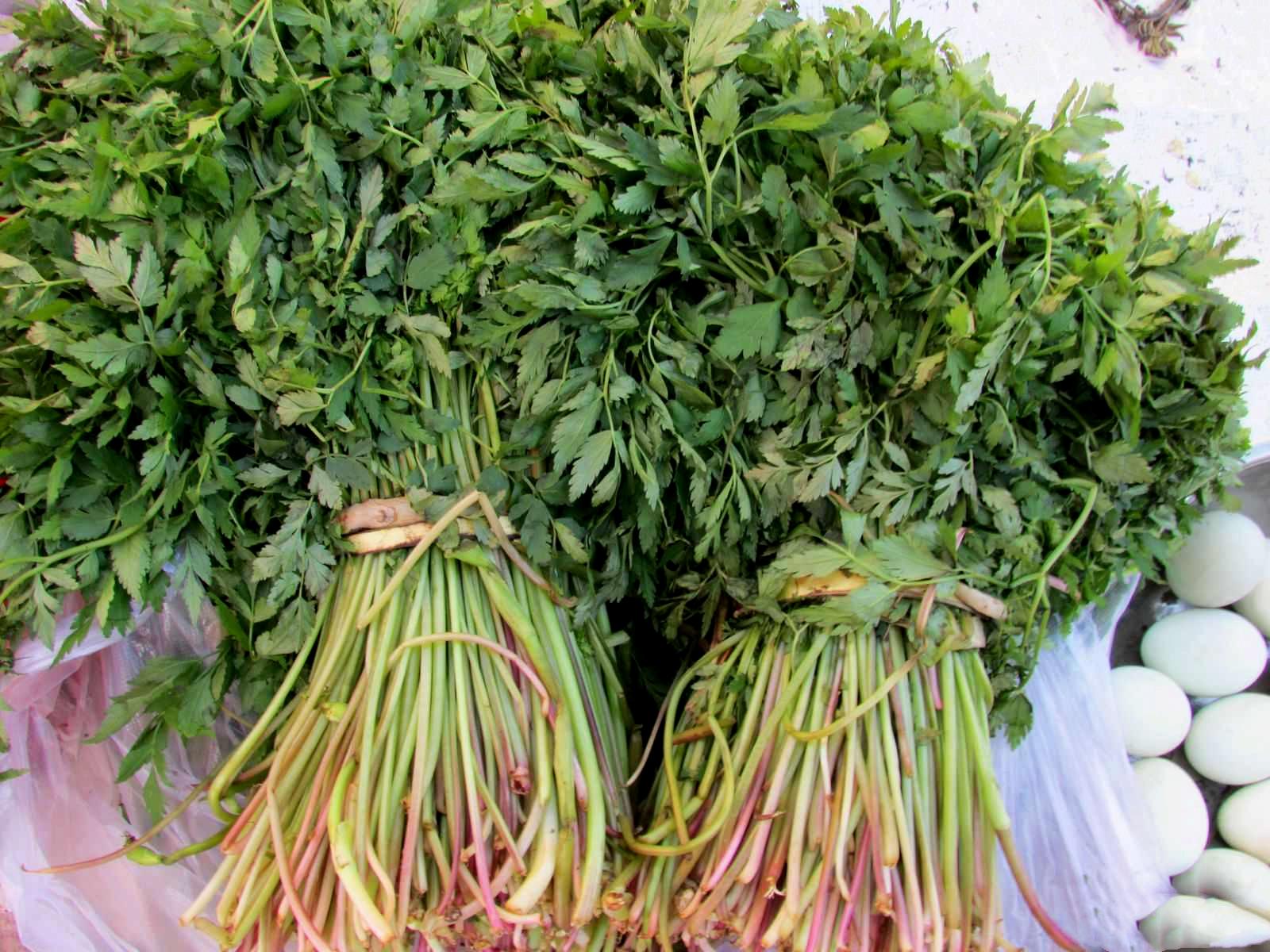 探寻本溪自然秘境,领略独特魅力之旅